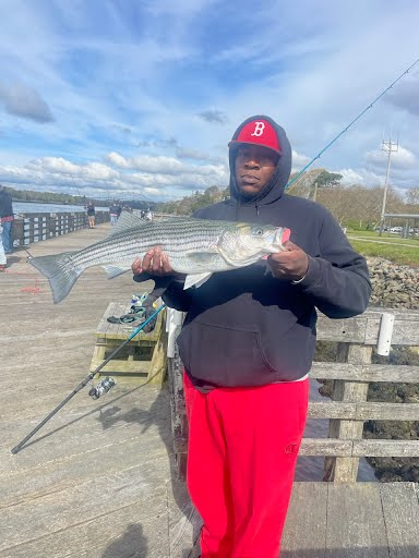 An excited fisherman holding a striped bass (aka striper) caught on a shaddy daddy lure at the Cape Cod Canal