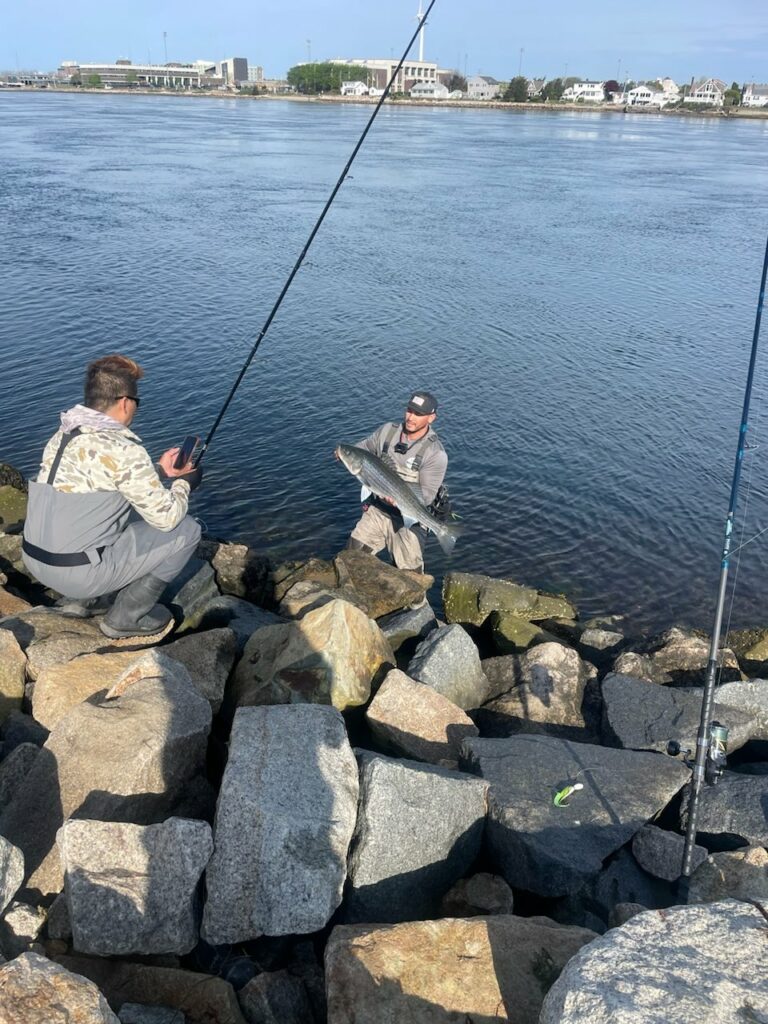 Two fishermen admiring a large striped bass (aka striper) that was caught on a striper gear lure at the Cape Cod Canal