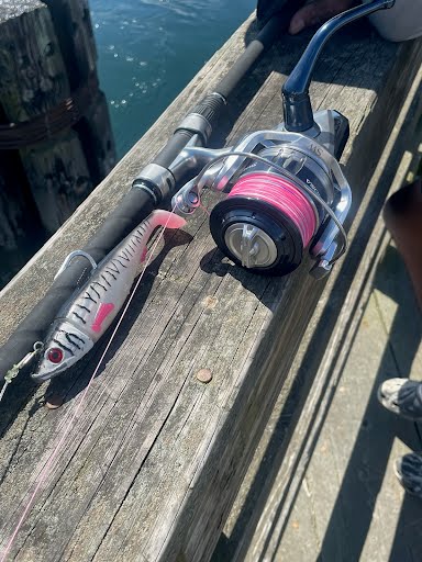 Pictured is the striper gear shaddy daddy lure in herring color rigged onto a spinning reel fishing rod being used at the Cape Cod Canal.