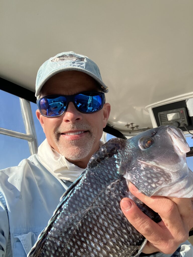 A picture of a fisherman holding a large black sea bass that was caught using a Striper gear crowler lure and a buck tail teaser. The crowler lure is great for black sea bass fishing.