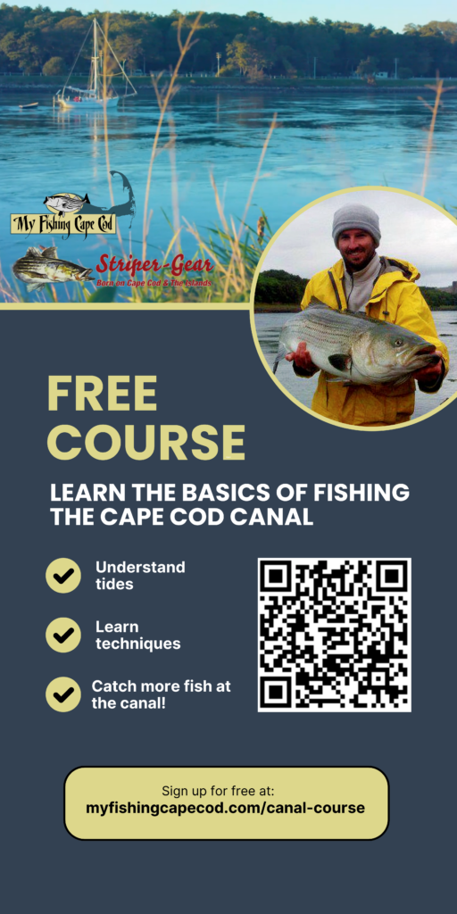 Banner advertising a Free Course to learn the basics of fishing the Cape Cod Canal. Understand the tides, learn techniques, and catch more fish at the Cape Cod Canal
