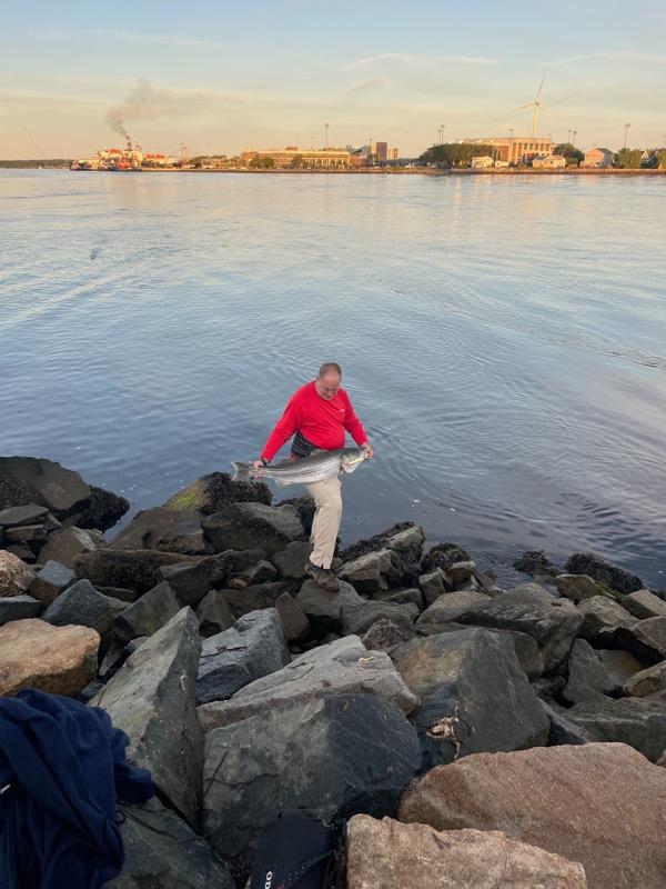 A large striped bass being held by the fisherman that caught it. The fish was caught using a white Striper Gear rocket lure.