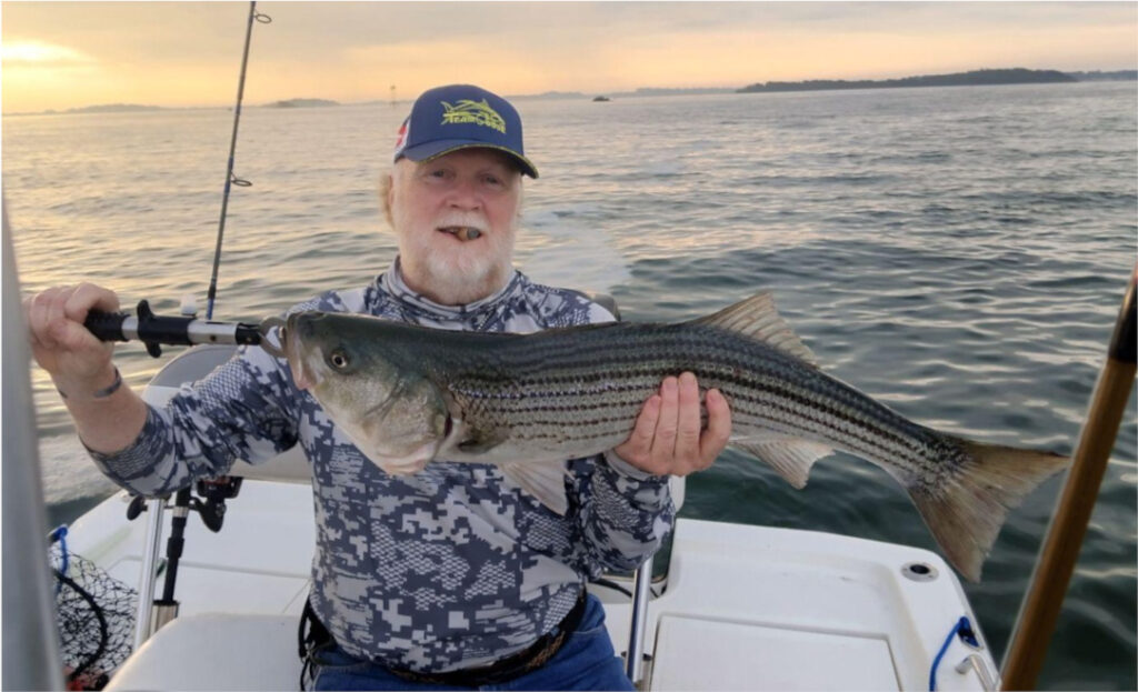 A large striped bass being held by the fisherman that caught it. The fish was caught using a Striper Gear rocket lure.