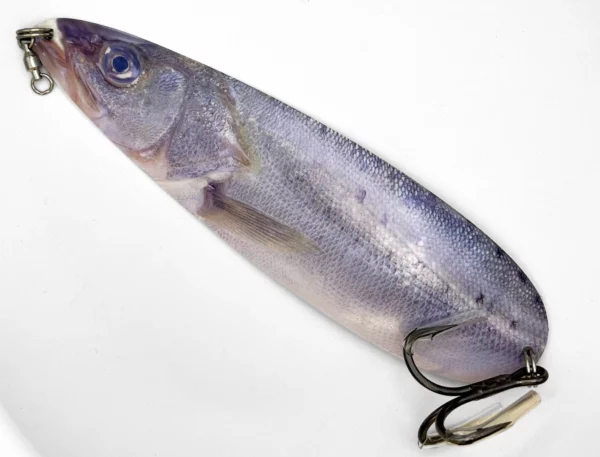 A flutter spoon fishing lure with a photo real image of a herring printed on its sides. Excellent for a wide variety of sport fishing.